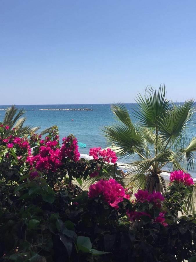 Cozy Coral Bay Studio By The Sea Εξωτερικό φωτογραφία
